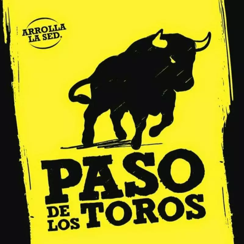 PASO DE LOS TOROS