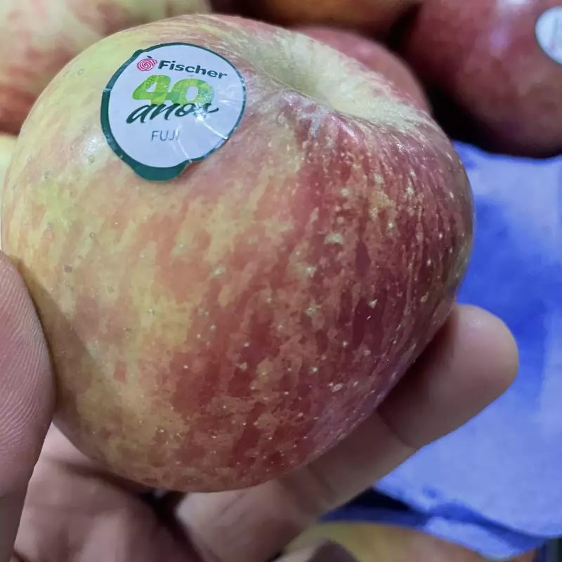 MAÇÃ MEDIA D”ÁGUA