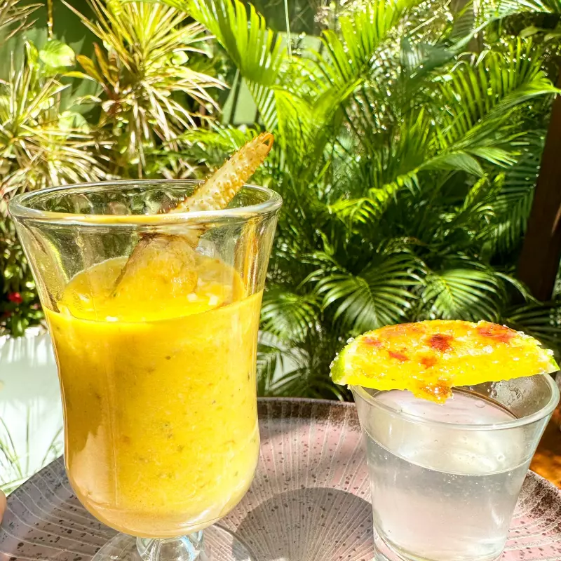 CALDINHO DE CARANGUEJO E GIN TONICA