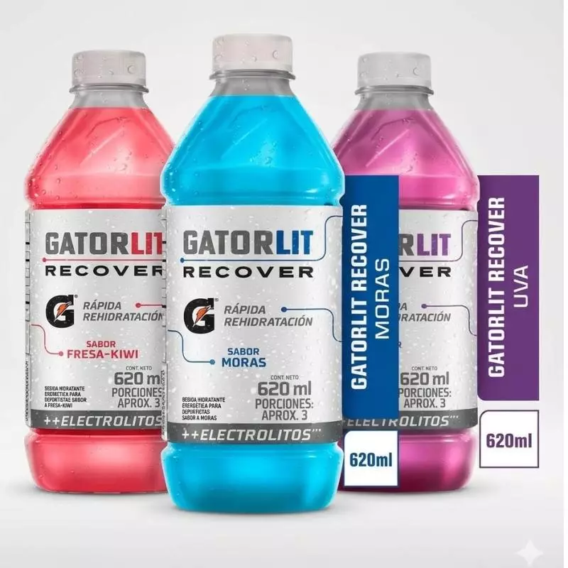 Gatorlit Recover 620mL