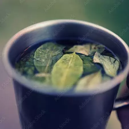 COCA TEA