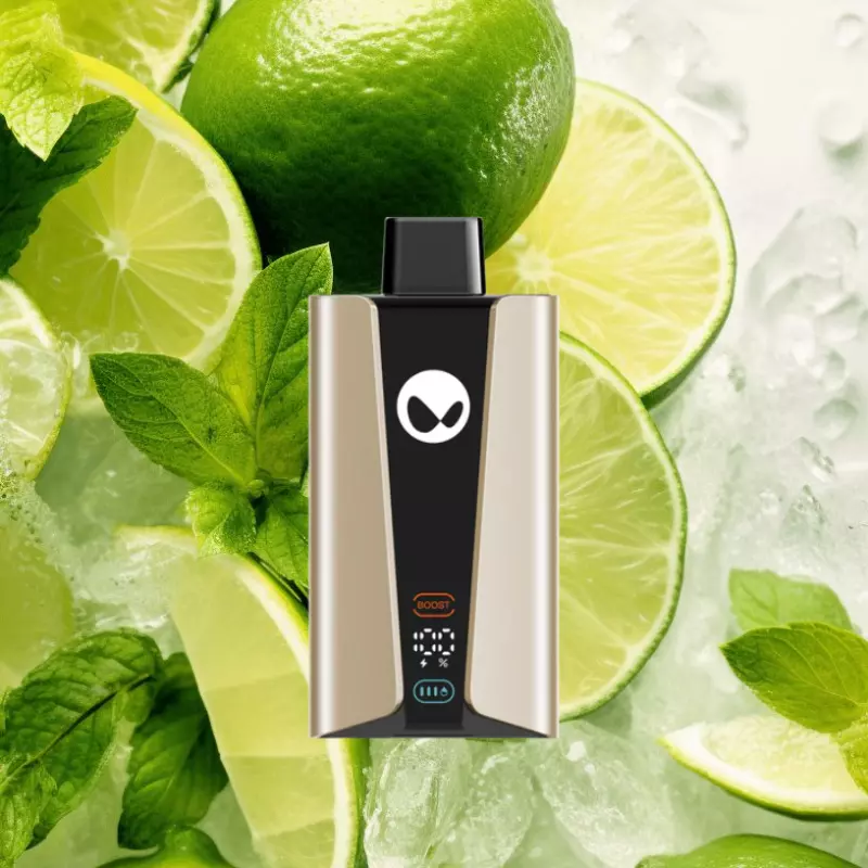 ice mojito