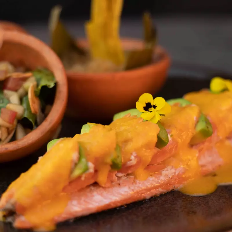 Trout to the Currulao' Rhythm