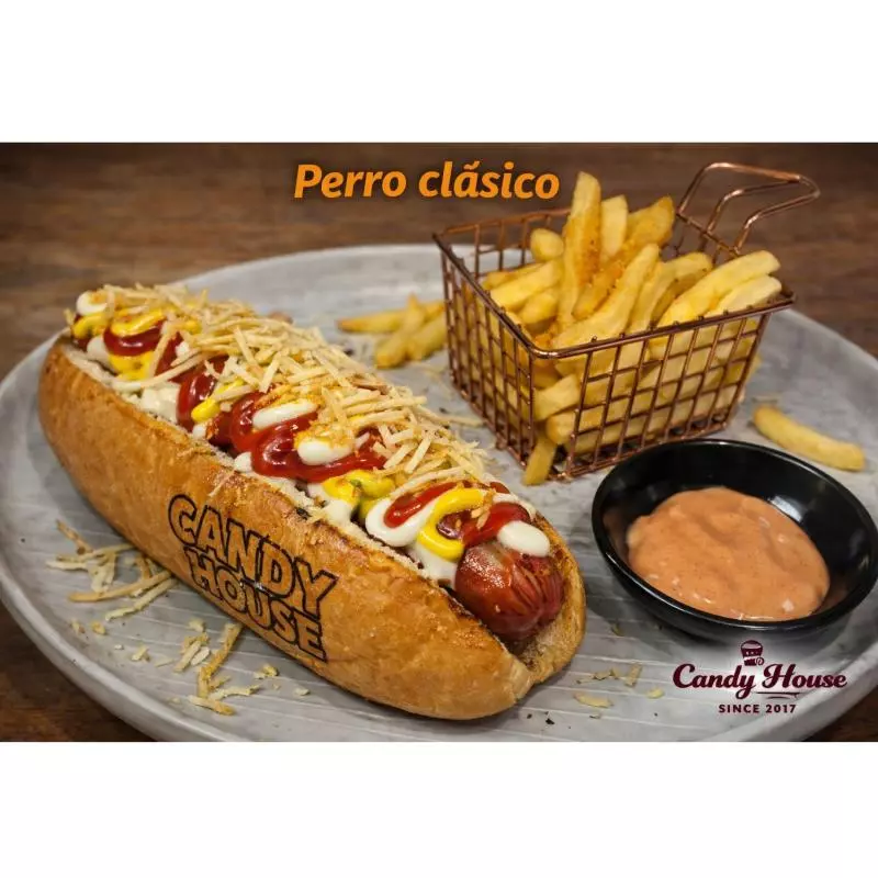 PERRO CLASICO