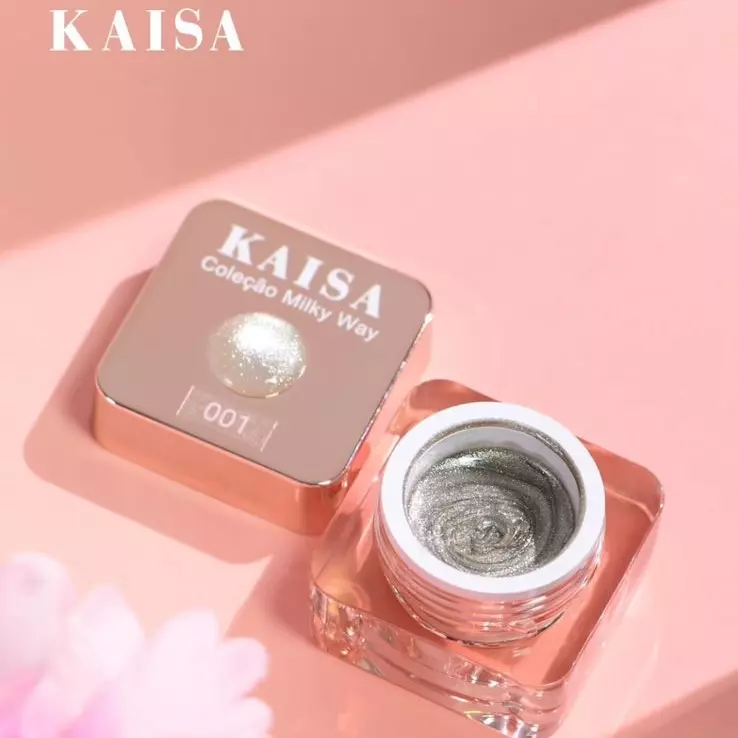 Gel Paint Kaisa Magnético N•001