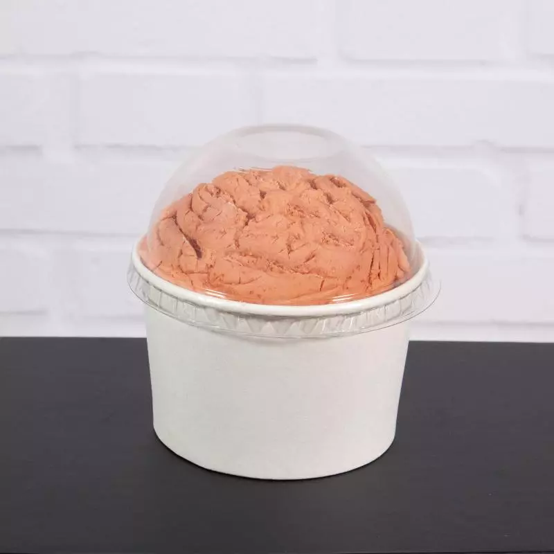 Tina de Helado con tapa 8 oz