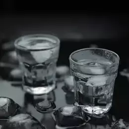 Vodka Slova