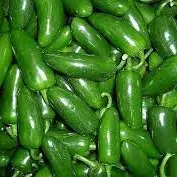 CHILE JALAPEÑO BANDEJA