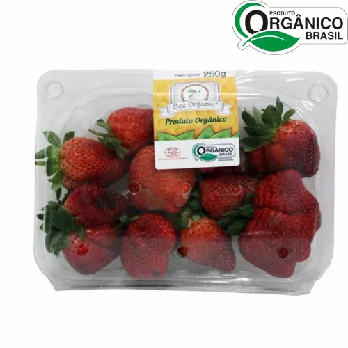 Morango Found Orgânico Bandeja