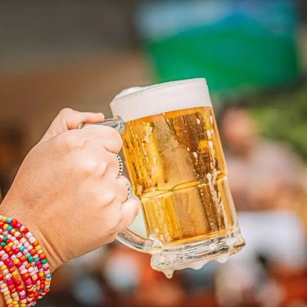 Chopp Brahma Caneca Zero Grau