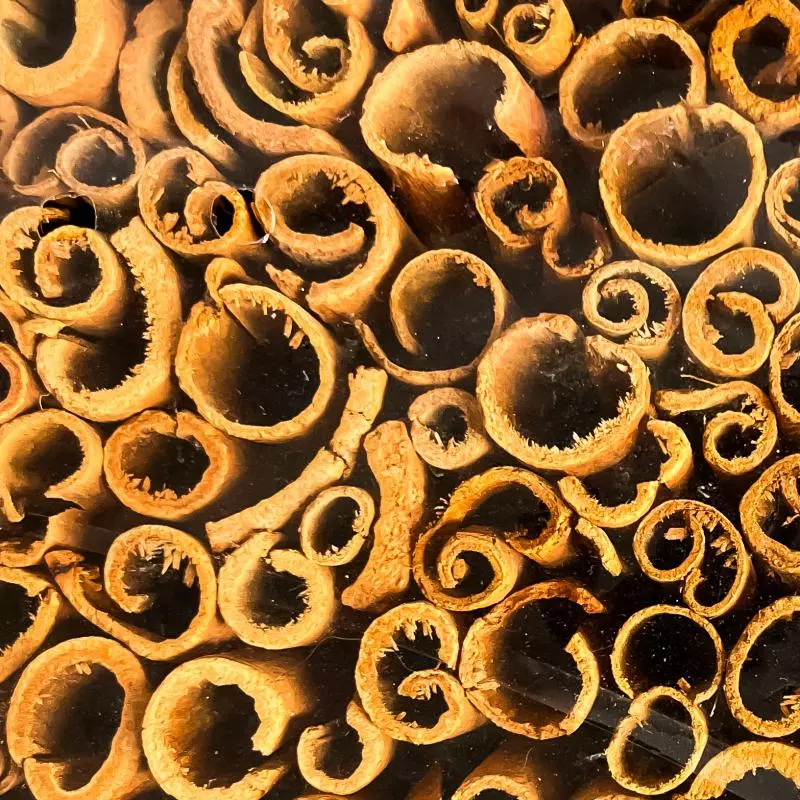 CANELA EM PAU