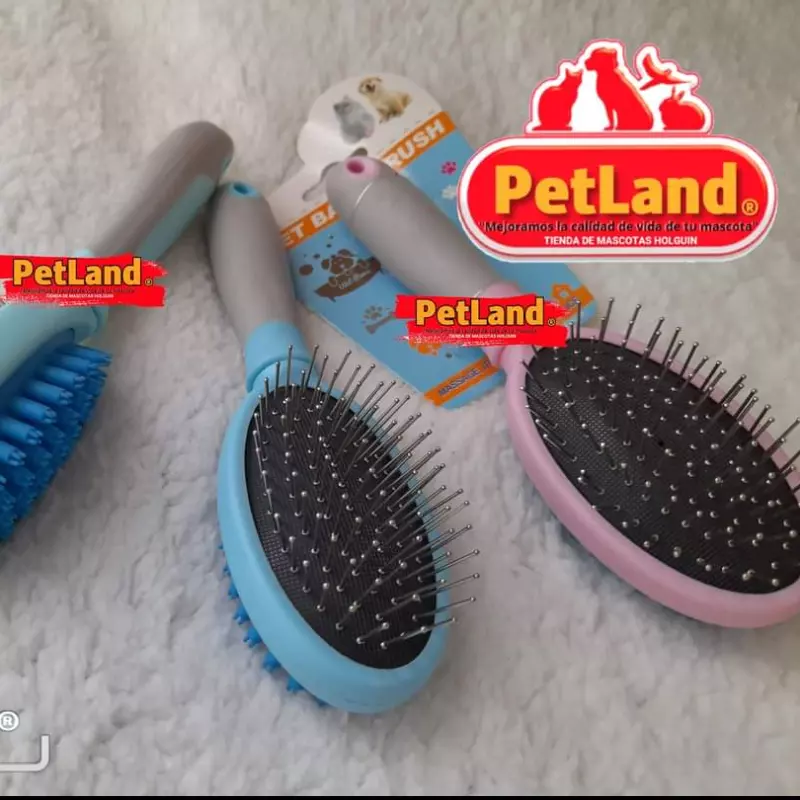 Cepillos masajeador