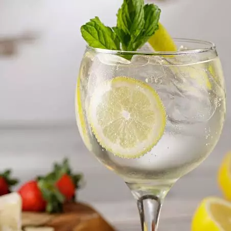 Gin Tonica