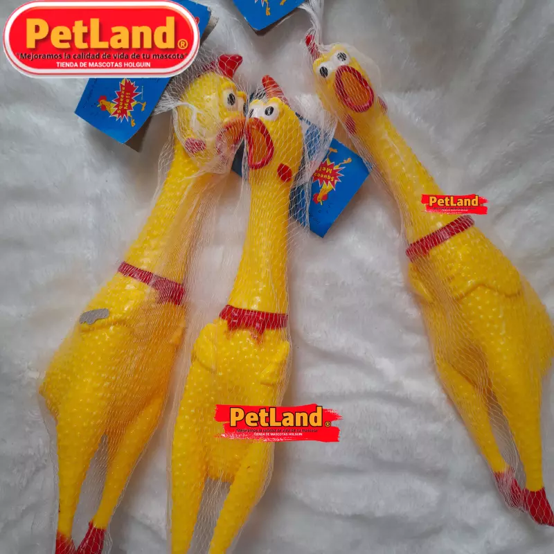 Pollo chillón grande