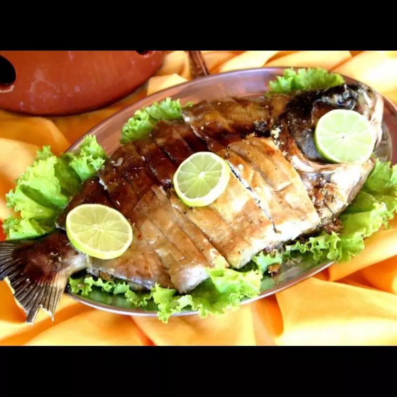 Corvina Média