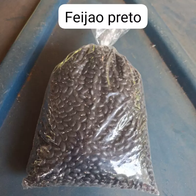 Feijão Preto Novo (Ivonete)