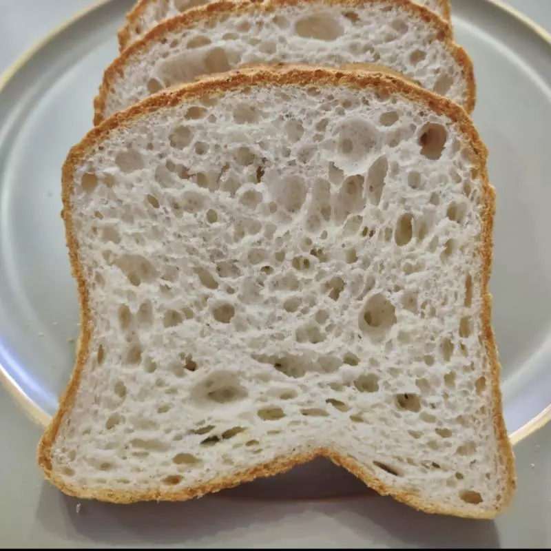 Pão de Forma Vegano