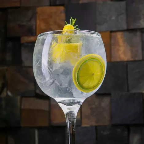 Gin Tônica