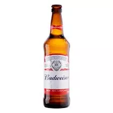 Cerveja Budweiser Long Neck