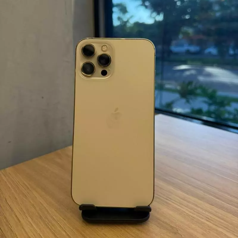 12 PRO MAX 256GB DOURADO