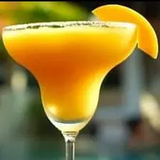 Mango Tek Mix Premium 5.48L