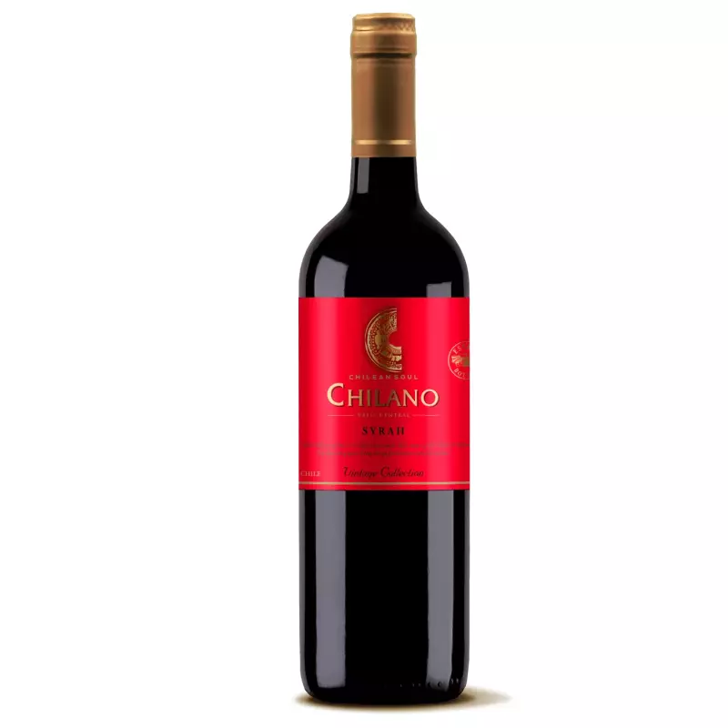 VINHO TINTO CHILENO CHILANO SYRAH