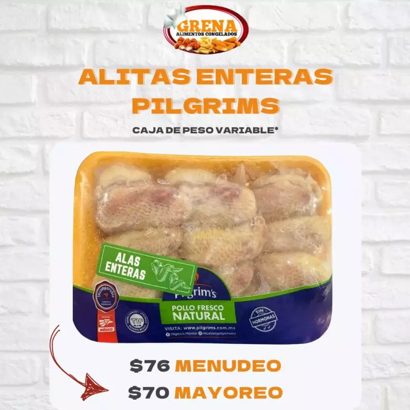Alita Entera Pilgrims