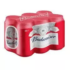 Six Cerveza Budweiser