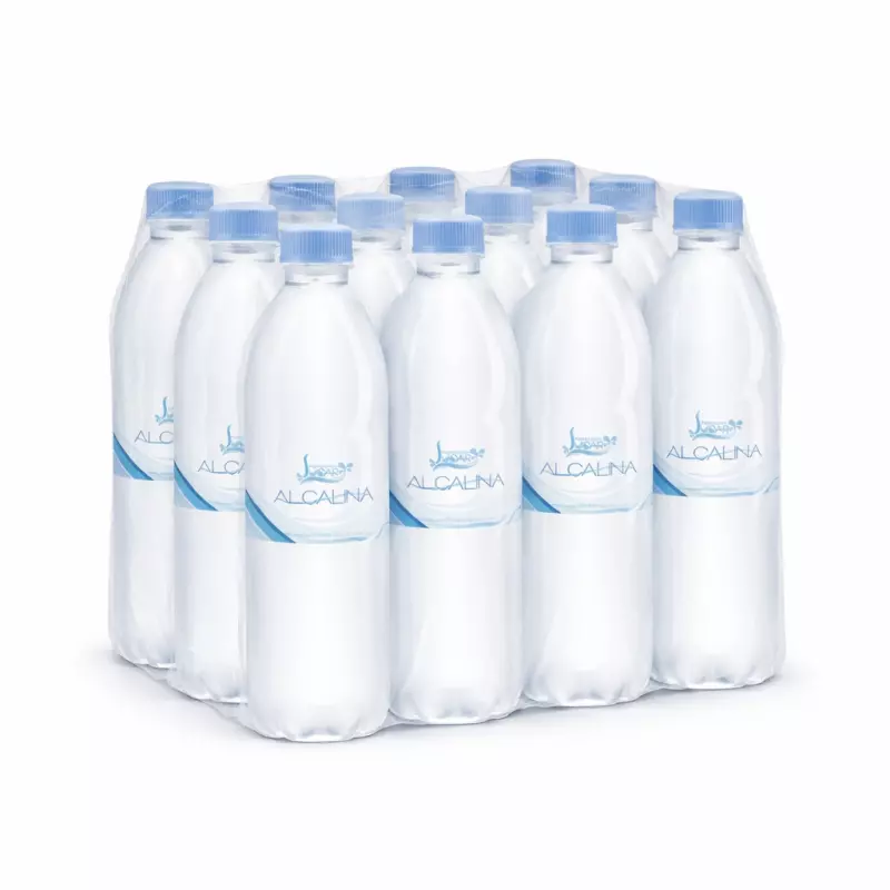 Paquete (12 Botellas de 1 L)