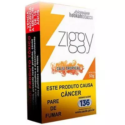 ZIGGY CAJU TROPICAL