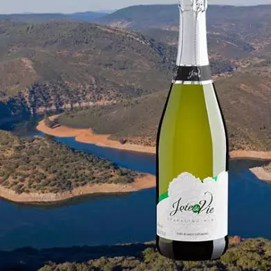 JOIE DE VIE - VINHO BRANCO ESPUMANTE