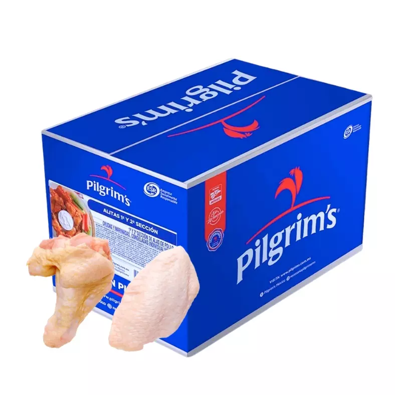 ALITA PILGRIMS 12KG