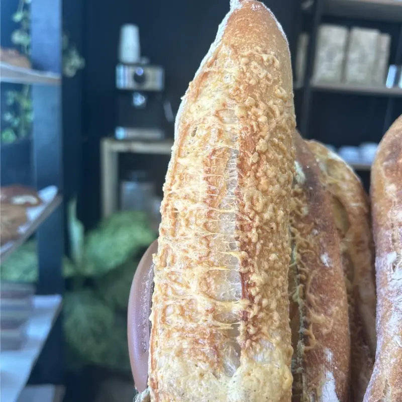 Baguete de parmesão