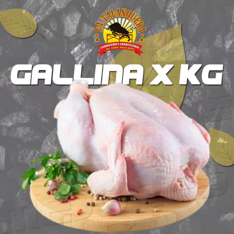 GALLINA