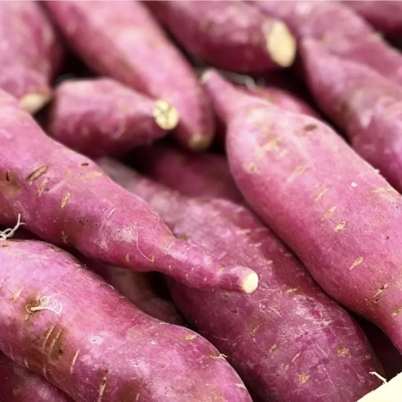 Batata doce rosada