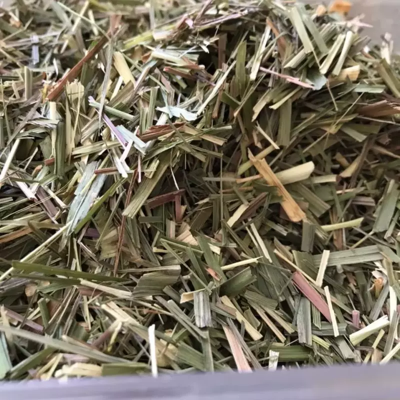 Erva Cidreira 100g