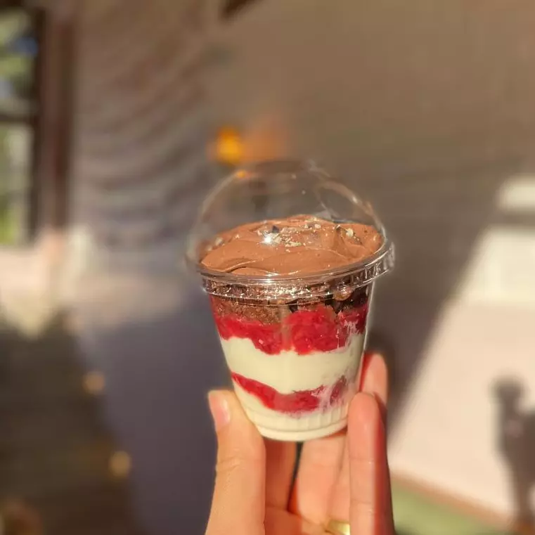 BROWNIE COM FRUTAS VERMELHAS S LEITE