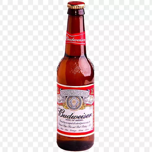 LONG NECK BUDWEISER