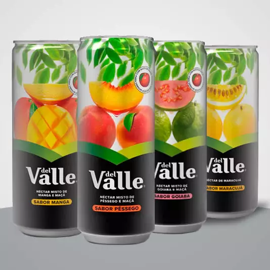 Suco Lata Del Valle