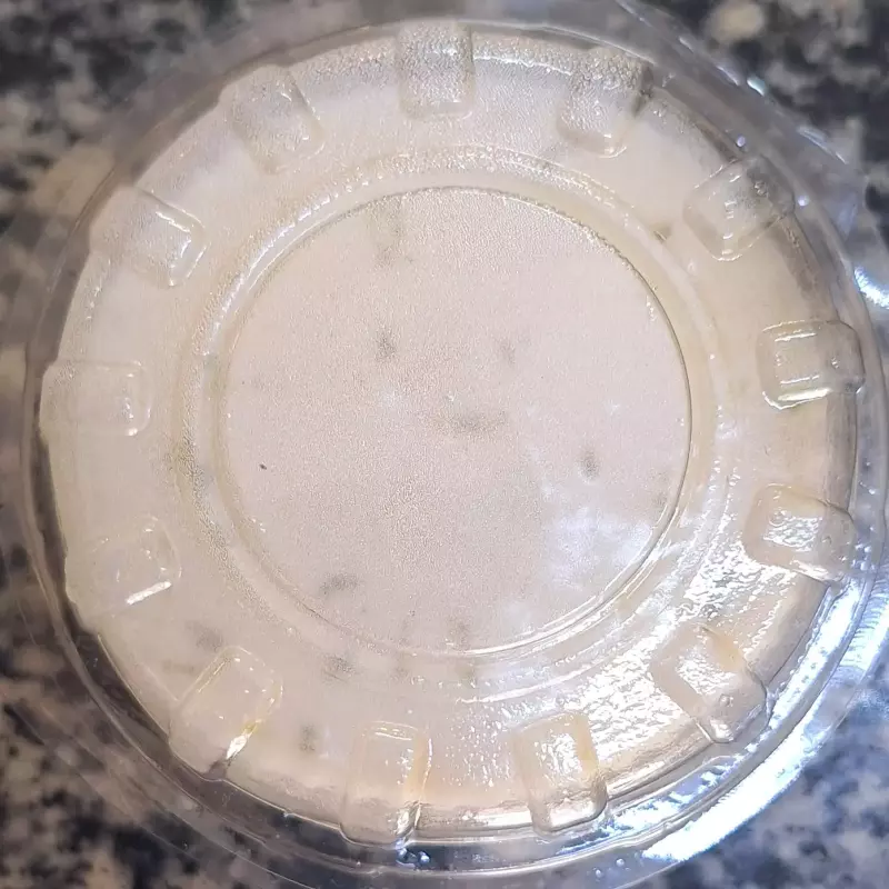 Musse de Limão