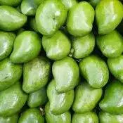 MANGO CELE KILO