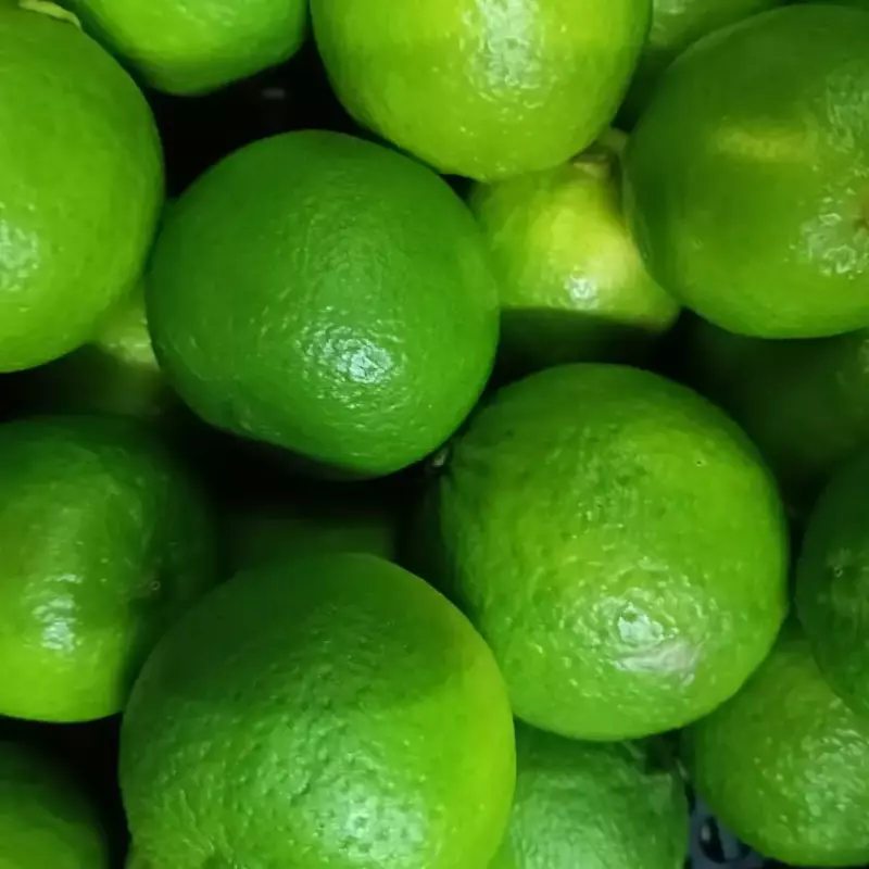 LIMÃO TAHITI ORG. 500gr