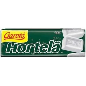 Pastilhas de hortelã garoto 17g