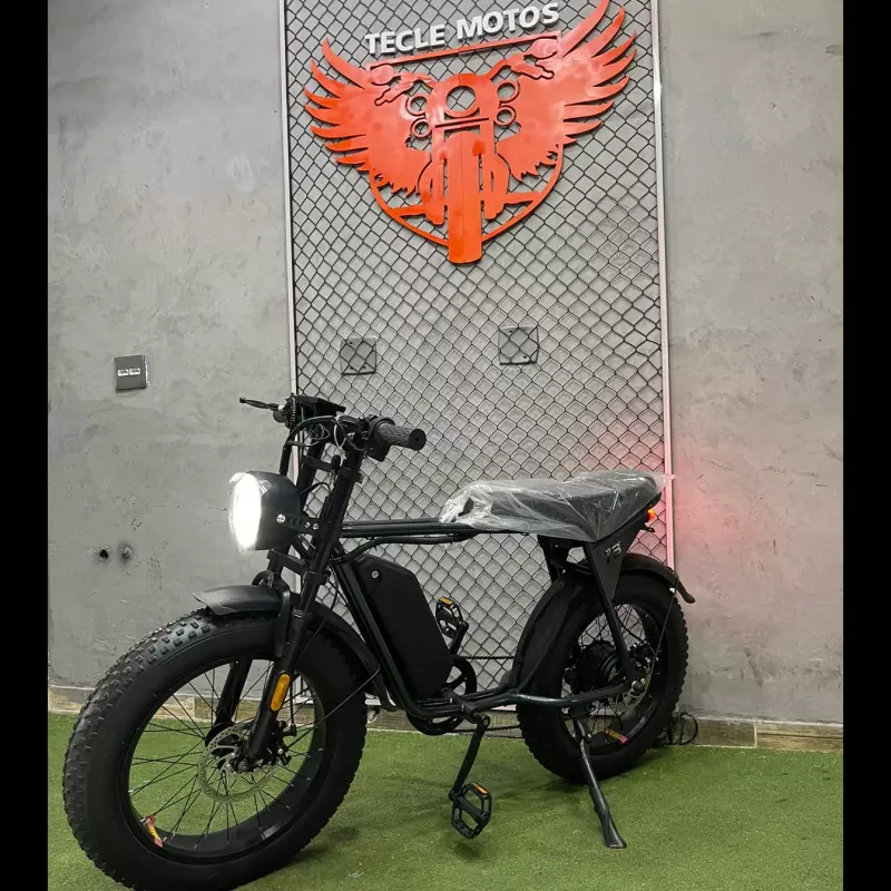 BIKE/AUTOPROPELIDA - Motor 350W