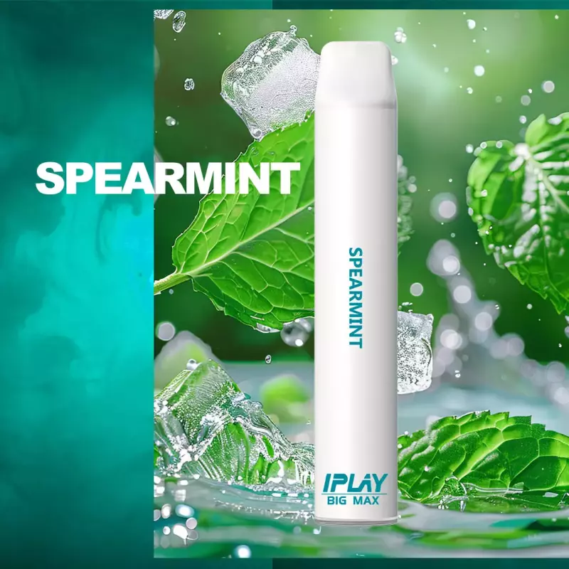 BIG MAX - SPEARMINT