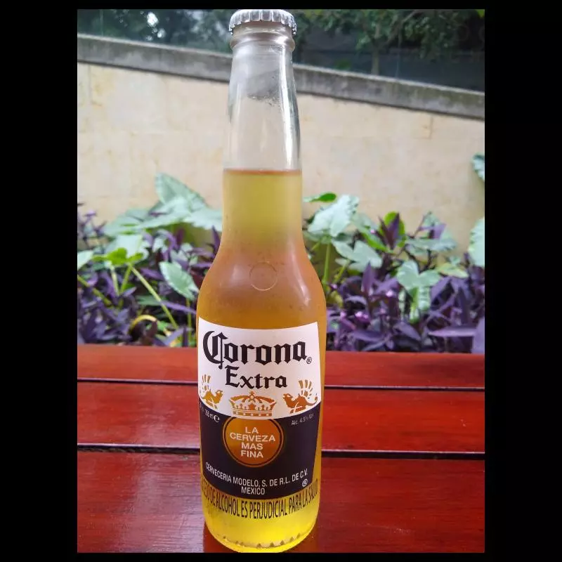 Corona 350ml