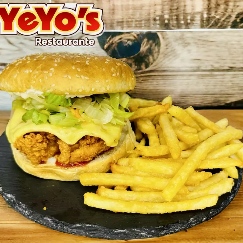 Combo Hamburguesa de Pollo