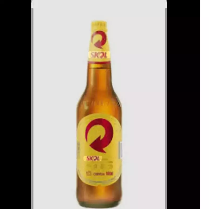 SKOL 600 ml