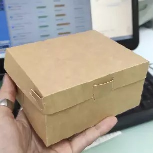 CAJAS KRAFT SIN ACETATO