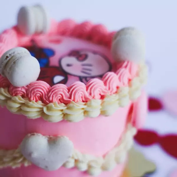 Mini Macarons Cake Coquette